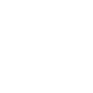 Custody & Visitation